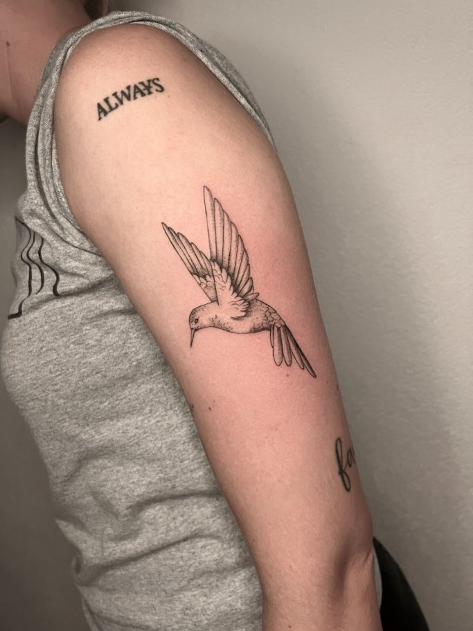 Fineline Vogel am Oberarm  von Michelle Klein, Ink Shell